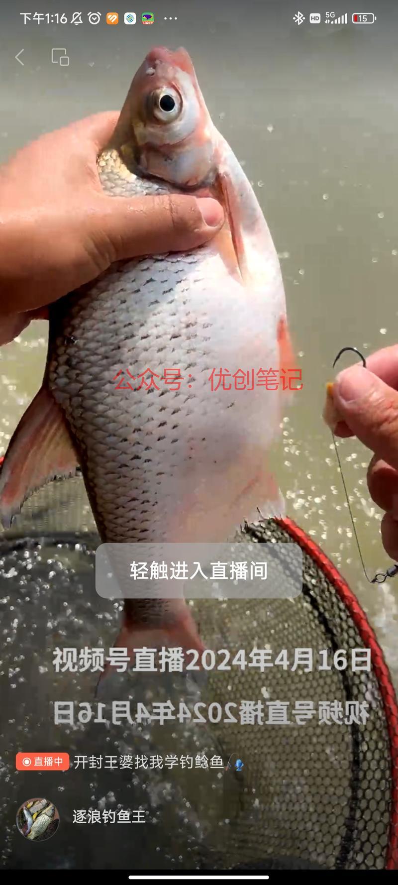 视频号好利润，低退货项目…#情报-搞钱线报📢论坛-网创交流-优创圈